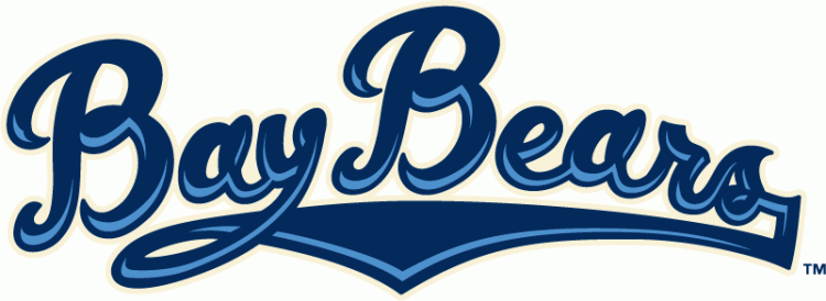 Mobile BayBears 2010-Pres Wordmark Logo iron on transfers for T-shirts
